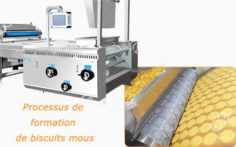 Caractéristiques De L'Installation Complète De Fabrication De Biscuits