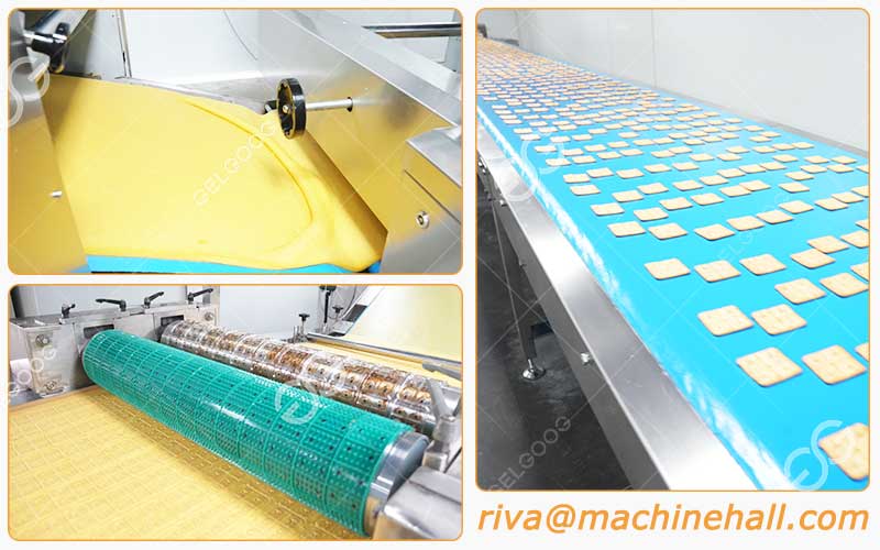 Equipement Principal De La Ligne De Production De Biscuits Durs