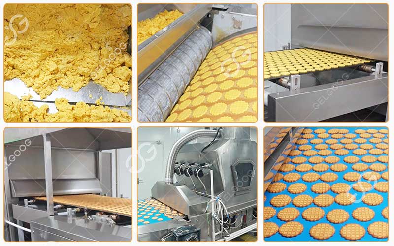 Étapes De Traitement De La Ligne De Production Industrielle De Sablés Biscuits