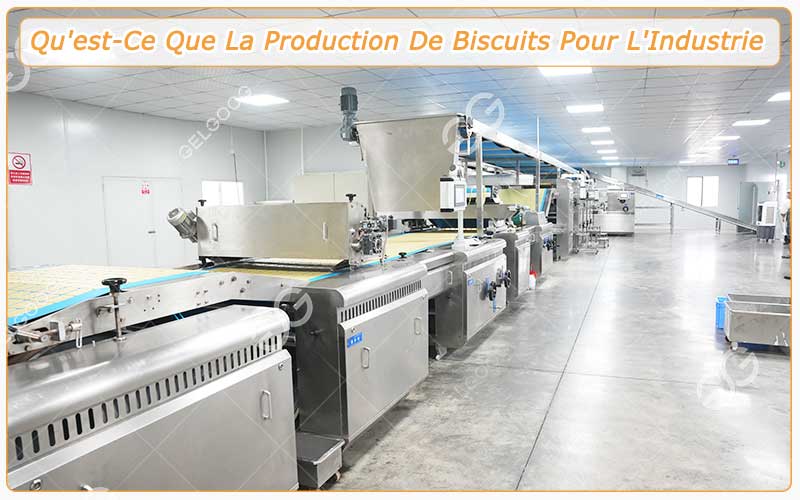 Qu'est-Ce Que La Production De Biscuits Pour L'Industrie