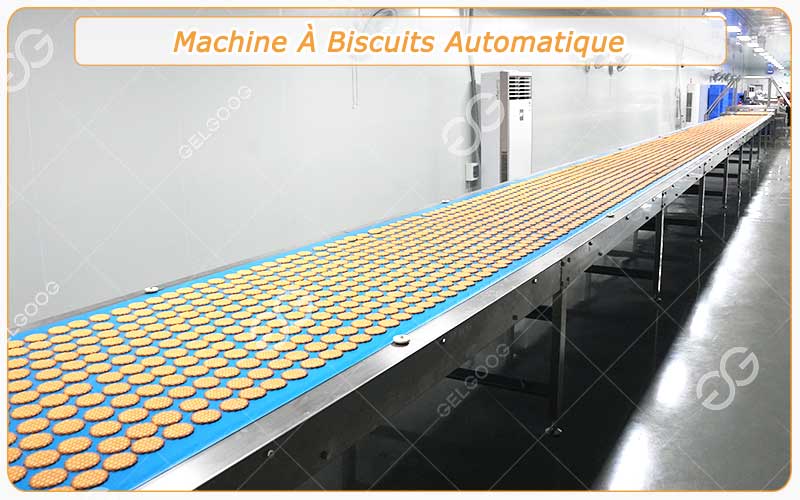 Bons Commentaires De La Machine À Biscuits Automatique