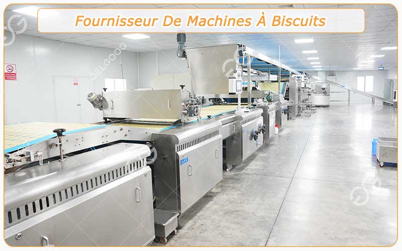 Fournisseur De Machines À Biscuits - Solution Professionnelle