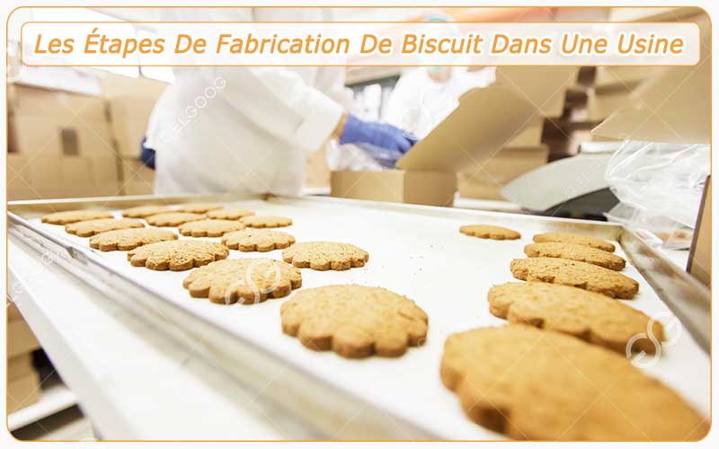 Les Étapes De Fabrication De Biscuit Dans Une Usine