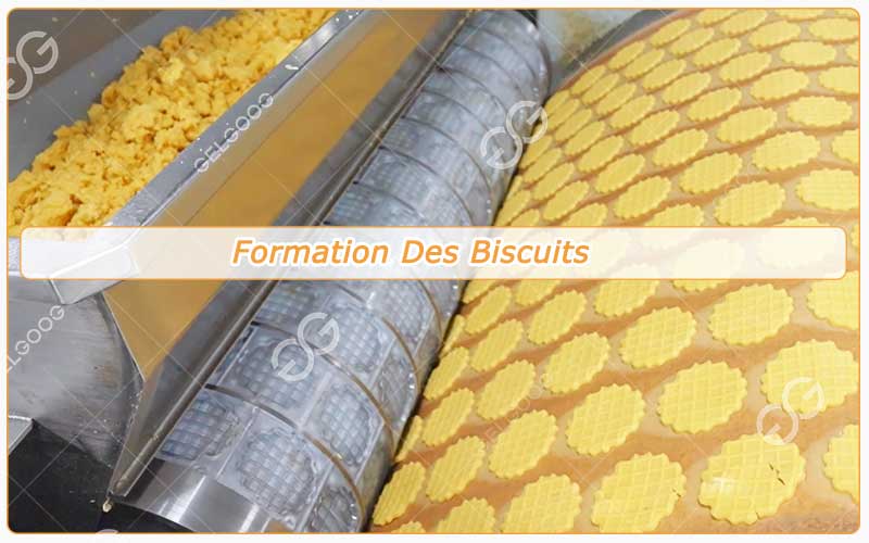 Formation Des Biscuits