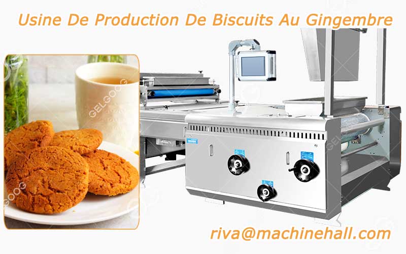 Principales Machines De L’Usine De Production De Biscuits Au Gingembre