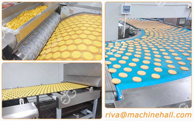 Caractéristiques De La Machine De Fabrication De Biscuits Sablés