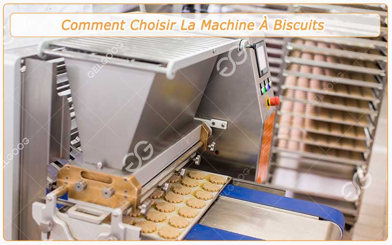 Comment Choisir La Machine À Biscuits Pour Votre Biscuiterie