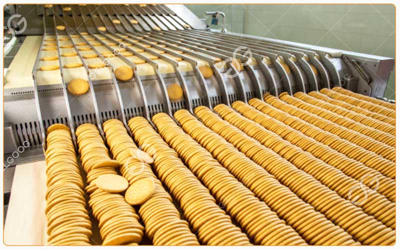 Analyse De Démarrer Une Entreprise De Biscuits