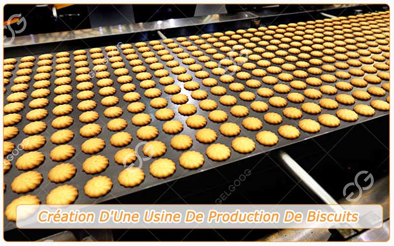 Création D'Une Usine De Production De Biscuits