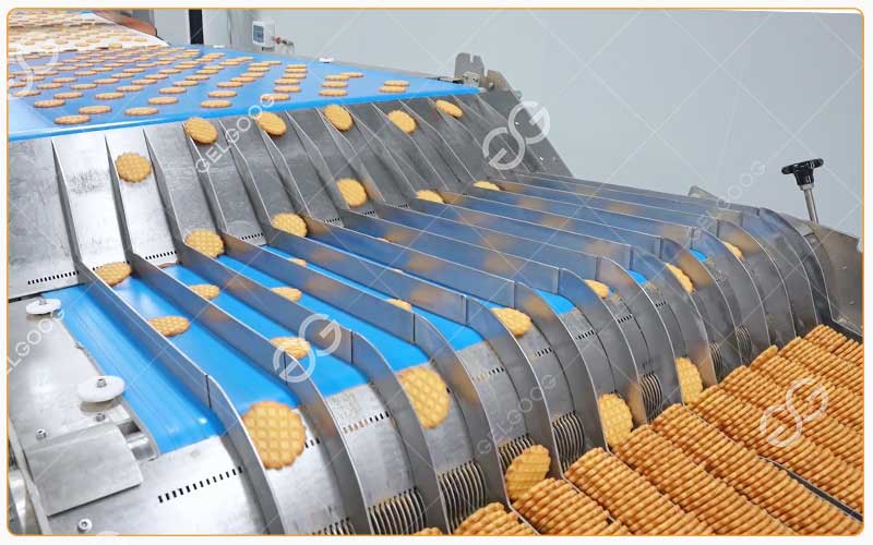 Comment Créer Une Unité De Production De Biscuits