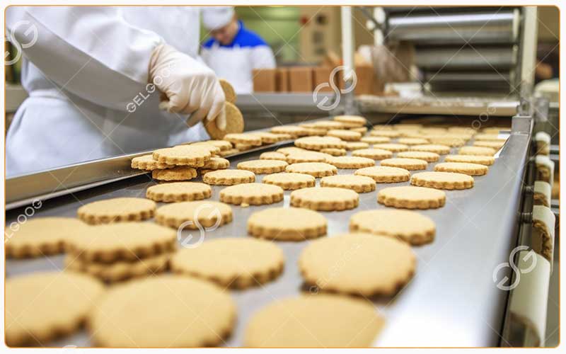 Fabrication De Biscuits En Usine - Processus De Production