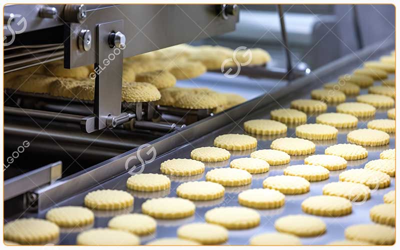 Comment Choisir La Machine À Biscuits Adaptée À Votre Usine