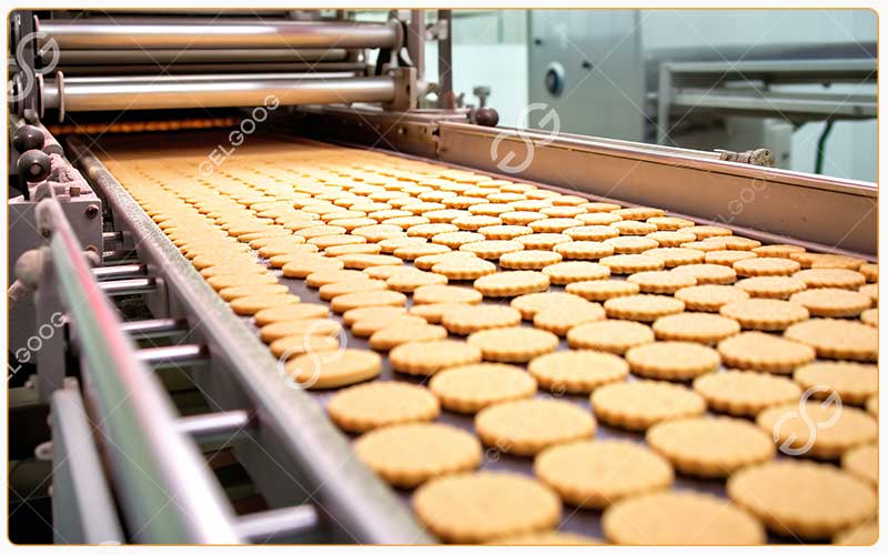 Mise En Place D'Une Usine De Fabrication De Biscuits