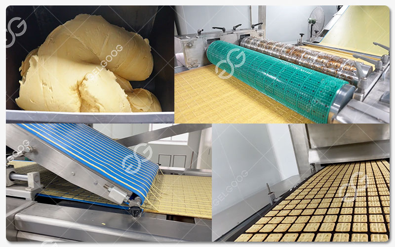 Ligne De Production De Biscuits Secs (Type « Hard Biscuits »)