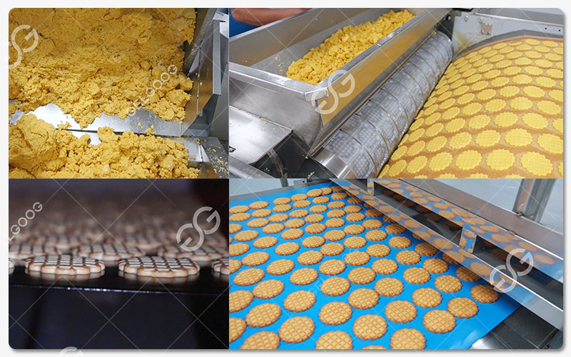 Ligne De Production De Biscuits Tendres (Type « Soft Biscuits »)